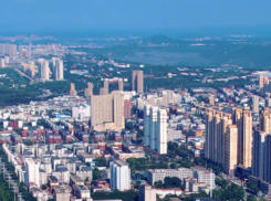 望花天气预报15天