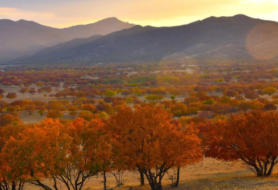 扎鲁特旗今天天气