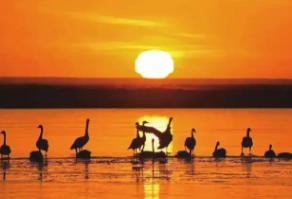 阿巴嘎旗天气预报15天