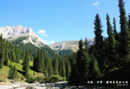 察布查尔明天天气