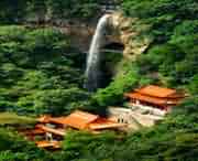 桐柏天气预报15天