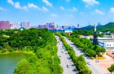 黄石港天气预报30天