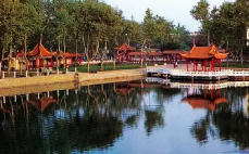 龙子湖今天天气