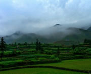台江天气预报7天