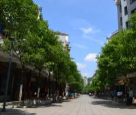 黔西天气预报15天