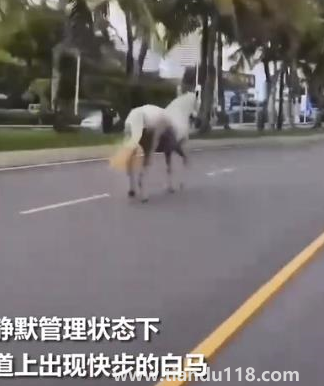 微信图片_20220812112749.png