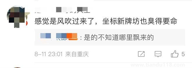 重庆市民称多地闻到刺鼻臭味多种原因所致(图1)