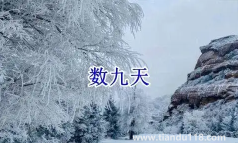 2022数九从哪一天开始到哪一天结束（数九要注意什么）