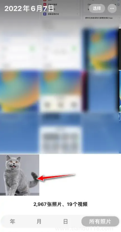 ios16抠图可以放到哪里(iOS16抠图怎么用)(图4) ios16抠图可以放到哪里4