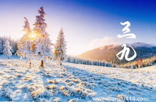 2023年三九天的起止时间（三九天要吃什么）