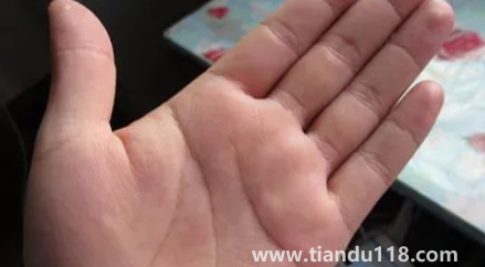 手上一个螺真的会穷吗(手上几个螺代表什么)(图2) 手上一个螺真的会穷吗2