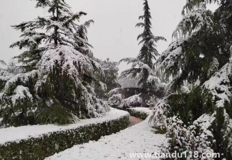 2023年哈尔滨1月份会下雪吗2