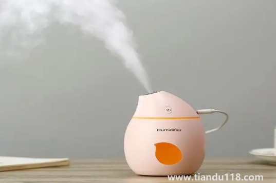 加湿器的雾气能直接吸入肺部吗3