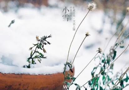 小雪节气温度高会怎样2