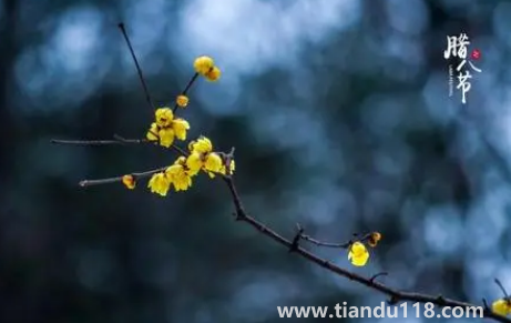 腊八节烧纸好不好（腊八烧纸有什么好吃）