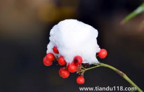 2022小雪这天下雪好还是晴天好（小雪天气好坏有说法吗）
