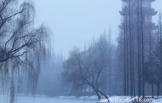 2022小雪节气时成都下雪了吗（小雪节气成都天气怎么样）