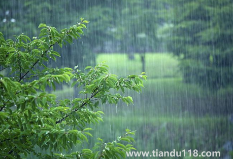 2023年一年的雨水怎么样3