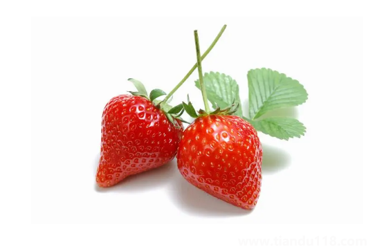 草莓下面白色部分放一段时间会变红吗（买草莓的注意事项）