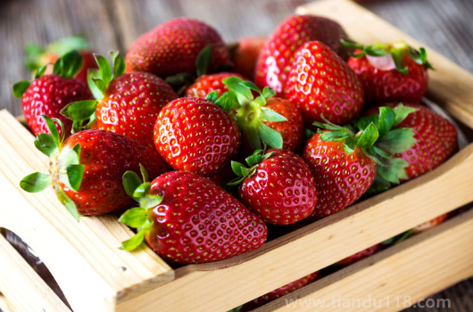 草莓是用保鲜膜盖住还是直接放着的好（草莓怎么保存时间长一点）